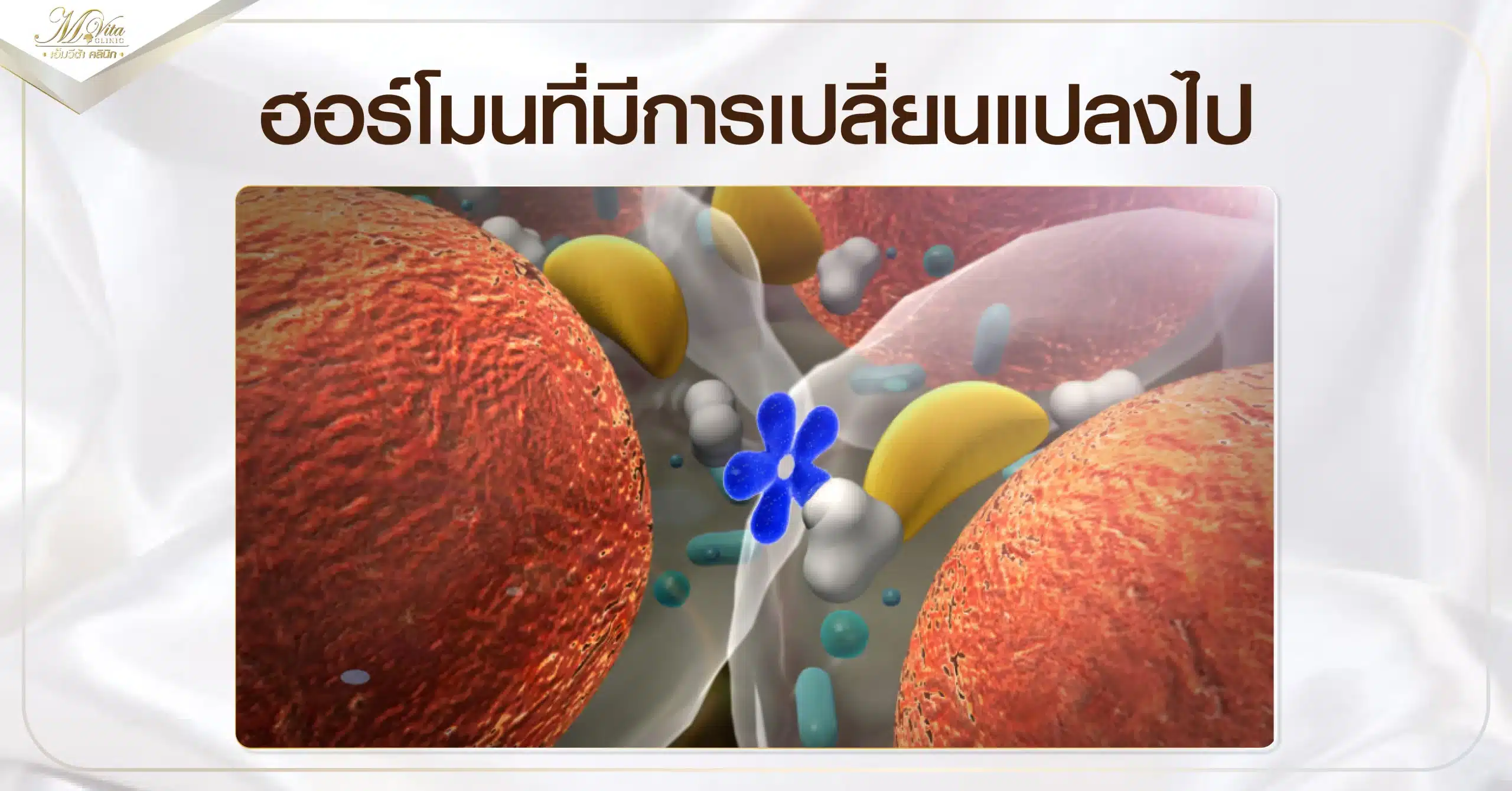 ฮอร์โมนที่มีการเปลี่ยนแปลงไป