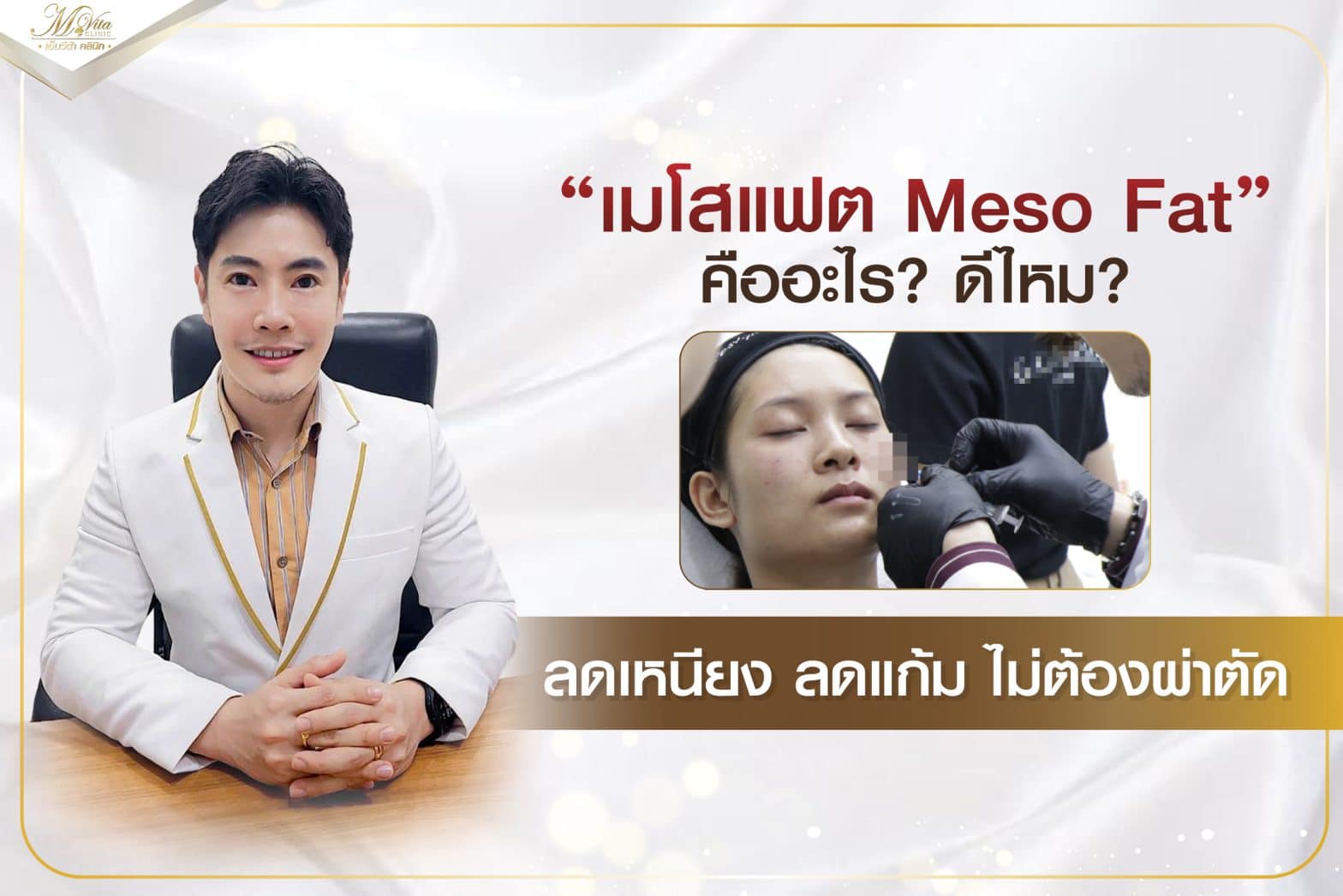 เมโสแฟต Meso Fat