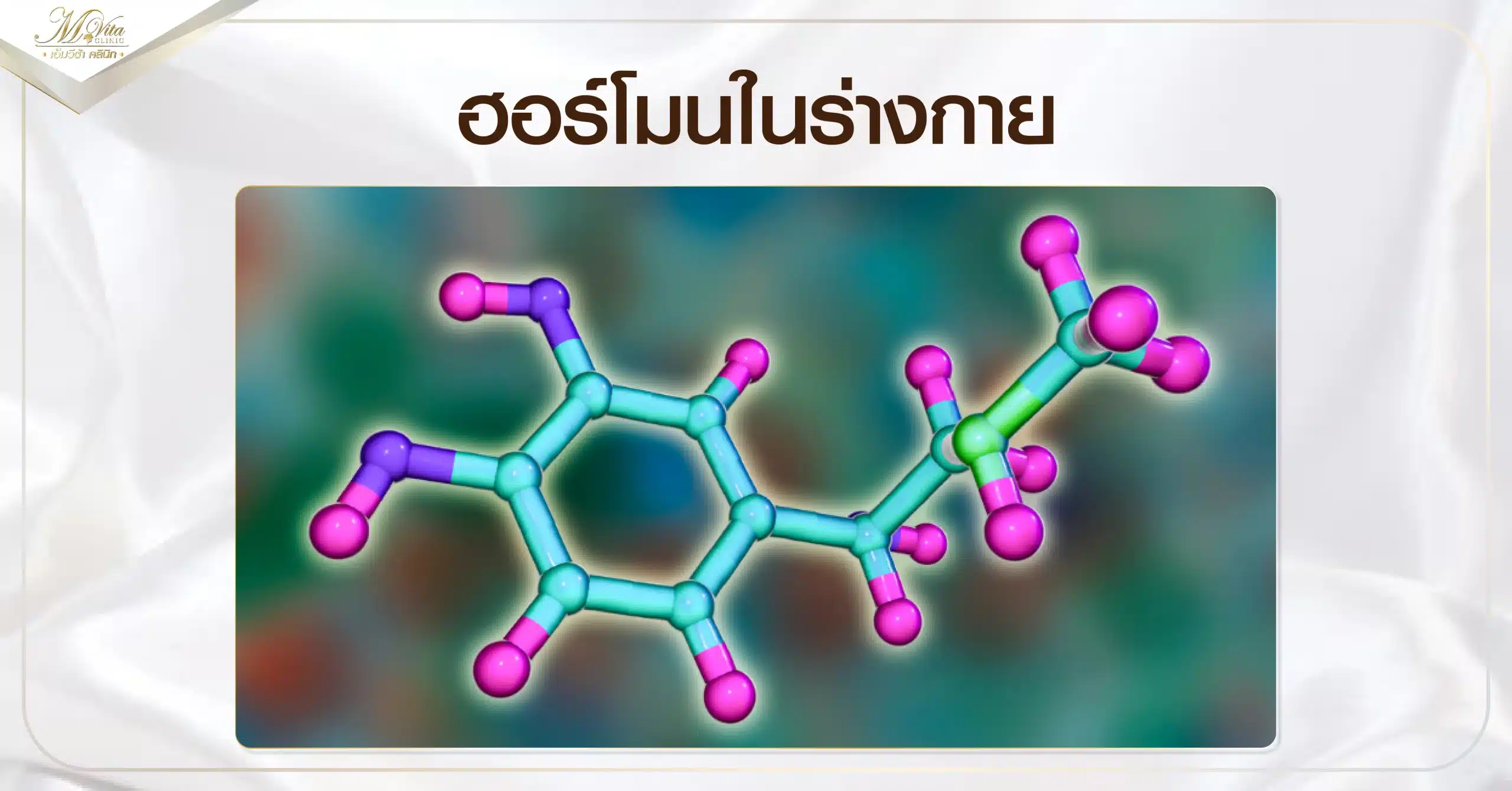 ฮอร์โมนในร่างกาย