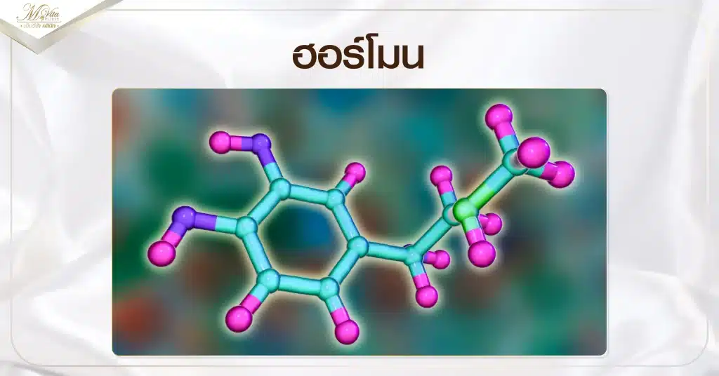 ฮอร์โมน